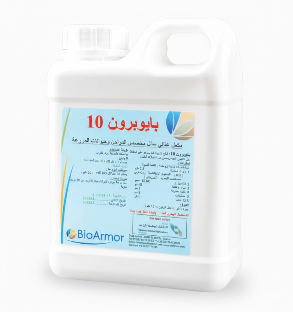 ahmed